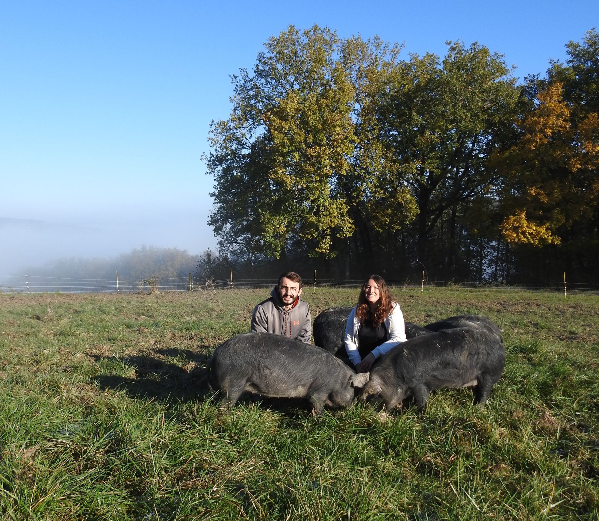 Mathieu et Sarah au milieu de leurs Porcs Noirs